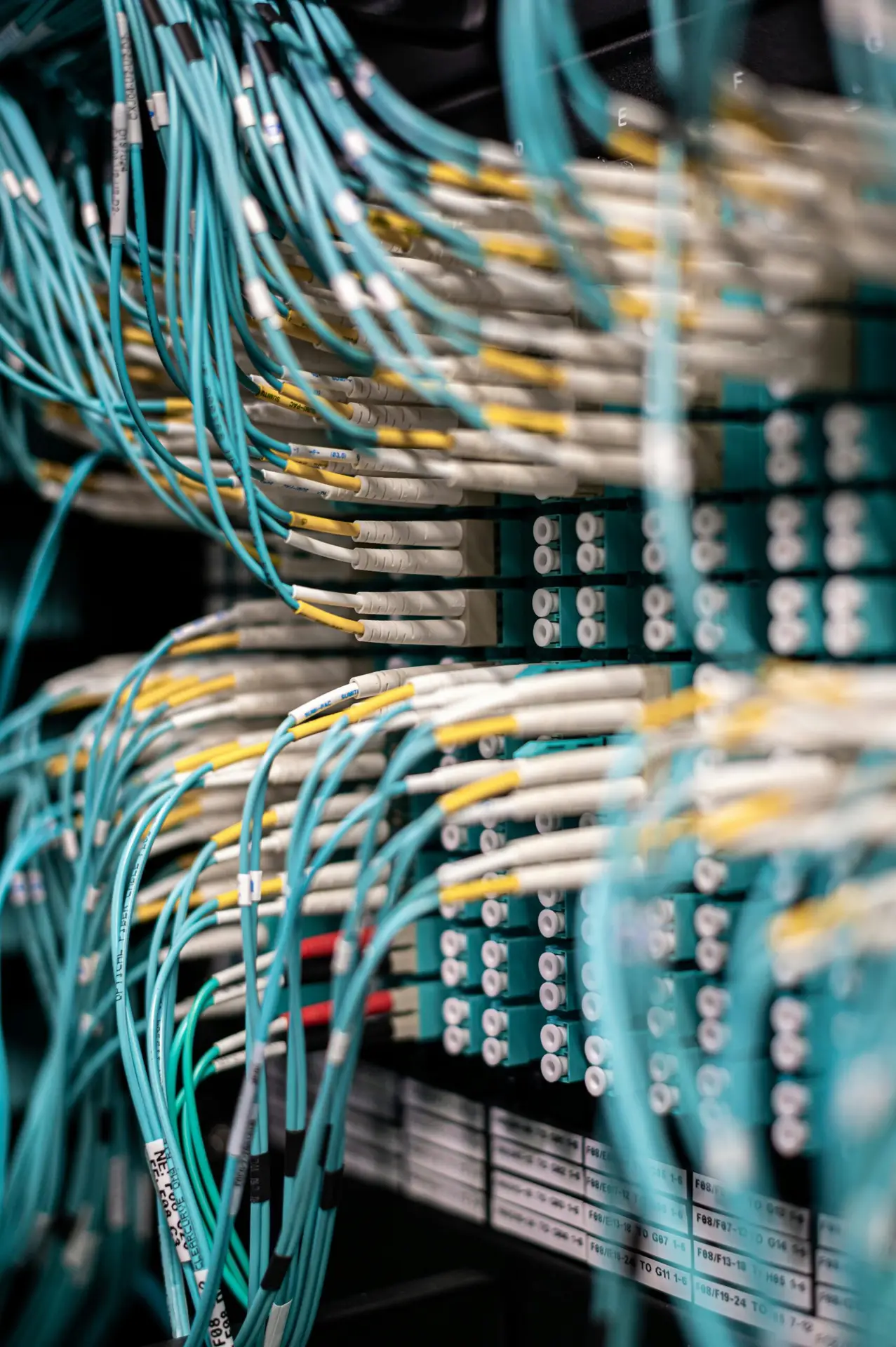 Rows of blue cables and wires plugged into server patch panel located in modern data center framework